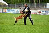 Kiolo vom Falkenstock