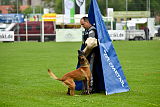 Kiolo vom Falkenstock