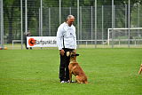 Kiolo vom Falkenstock