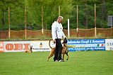 Kiolo vom Falkenstock
