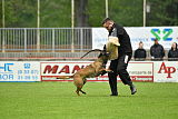 Piet (Reiter)