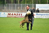 Piet (Reiter)