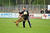 Piet (Reiter)