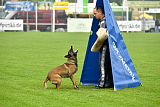 Piet (Reiter)