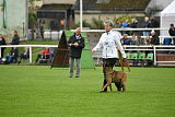 Piet (Reiter)