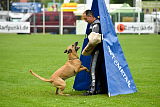 Rocket (de Boer)