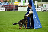 Iceman von der Schiffslache