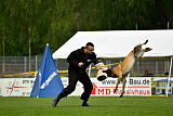 Bison vom bösen Onkel