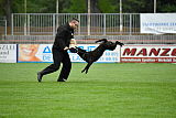 Frenzy's Ferrari of Flying Attacks