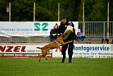 Bacima Cri de Loup