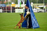 Bacima Cri de Loup