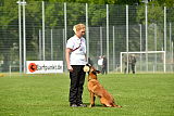 Bacima Cri de Loup