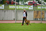 Al Campo Graf Czech