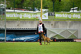 Al Campo Graf Czech
