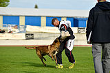 Al Campo Graf Czech