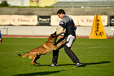 Al Campo Graf Czech