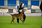 Parendo Vinces Captain Koons