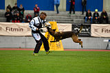 Parendo Vinces Captain Koons