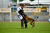 Parendo Vinces Captain Koons