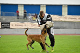 Constantin Anoubis Reunion