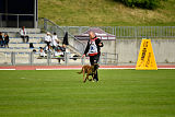 Aramis Red Devils Dog