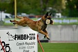 Aramis Red Devils Dog