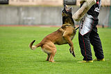 As'Thor Force Canina