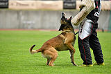 As'Thor Force Canina