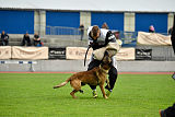 As'Thor Force Canina