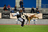 As'Thor Force Canina