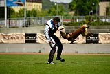 As'Thor Force Canina