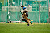 As'Thor Force Canina
