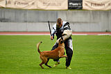 Amarok von Malihattan