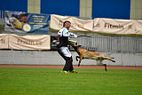 Safft Security's Coxie