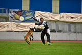 Safft Security's Coxie