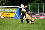 Rocket (de Boer)
