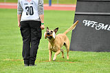 Rocket (de Boer)