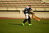 Omer de Hellehond