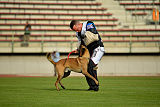 Omer de Hellehond