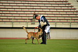 Omer de Hellehond