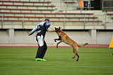Omer de Hellehond