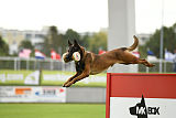 Dog John's Ikai