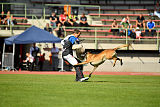 Aramis Red Devils Dog