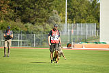 Aramis Red Devils Dog