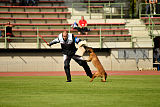 Butch de la Videmanette