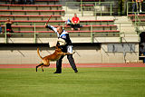 Butch de la Videmanette