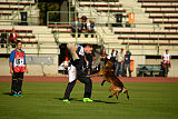 Storm Marinchuk K-9