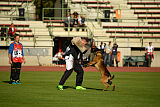 Storm Marinchuk K-9