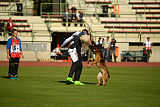 Storm Marinchuk K-9