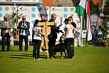 Siegerehrung, Victory Ceremony